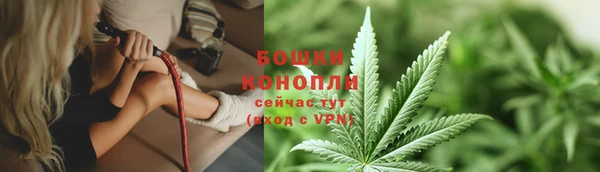 стафф Няндома