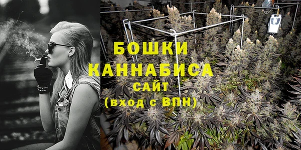 ПСИЛОЦИБИНОВЫЕ ГРИБЫ Тутаев