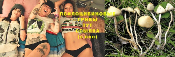 стафф Няндома