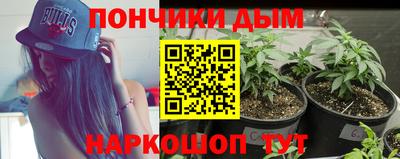 мяу мяу мука Беслан