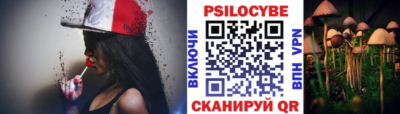 darknet официальный сайт  Волоколамск  Псилоцибиновые грибы Cubensis 