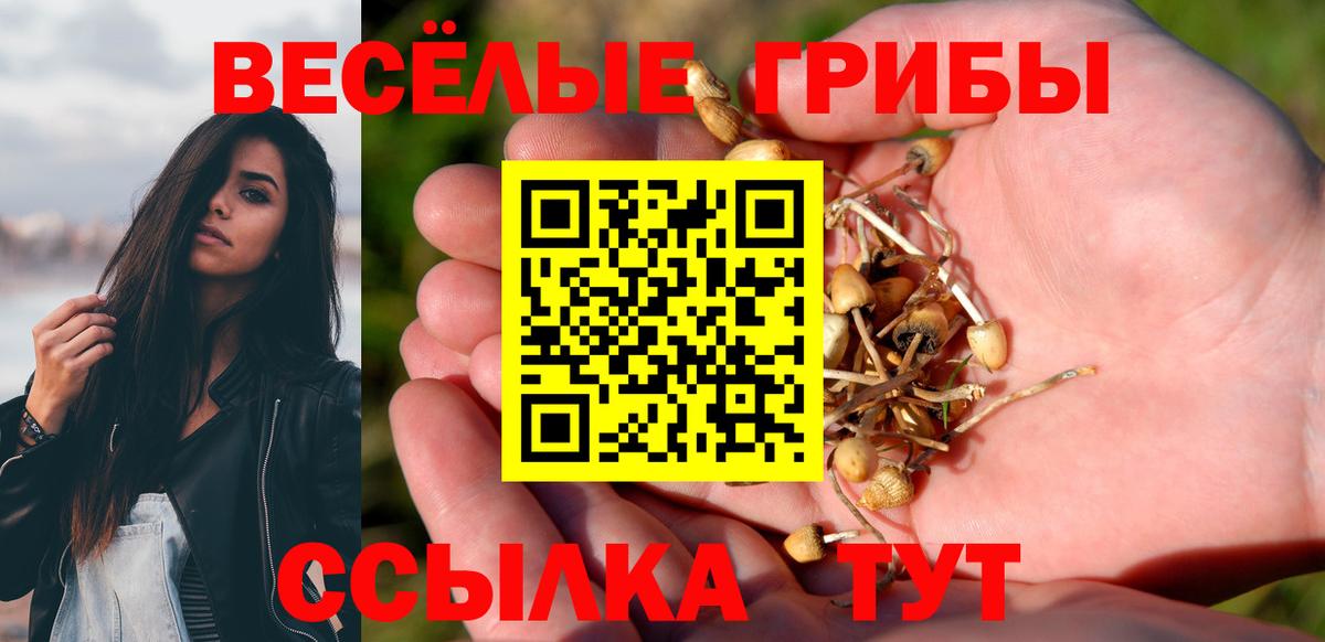 Галлюциногенные грибы Psilocybine cubensis  Галлюциногенные грибы Psilocybine cubensis  Волоколамск 