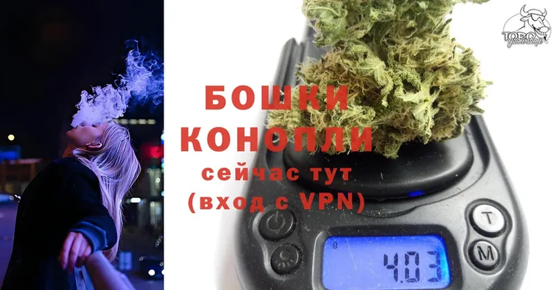 магазин продажи наркотиков  Волоколамск  Канабис OG Kush 
