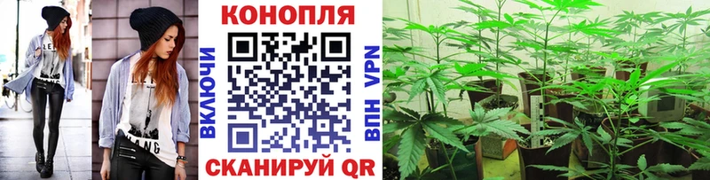 Шишки марихуана Bruce Banner  Волоколамск 